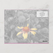 ピンクリボン乳癌ありがとうはがき ポストカード (裏面)