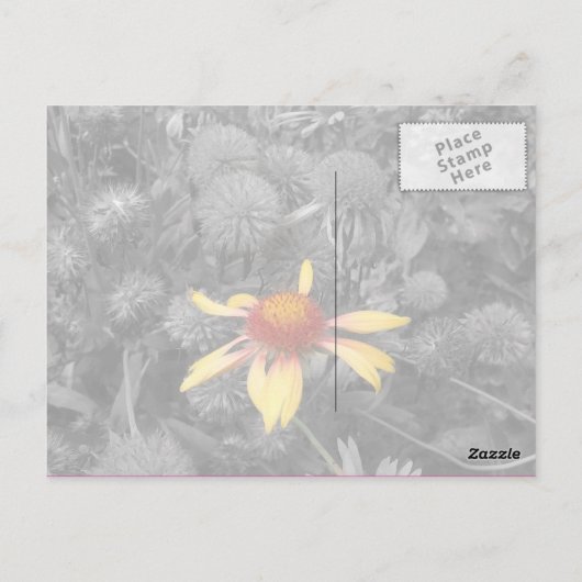 ピンクリボン乳癌ありがとうはがき ポストカード (裏面)