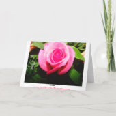 ピンクリリー&バラ、元気 カード (裏面)