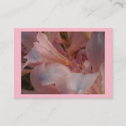 ピンクリリー 名刺 (正面)