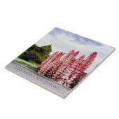 ピンクルパン@レイクテカポニュージーランド タイル (側面)