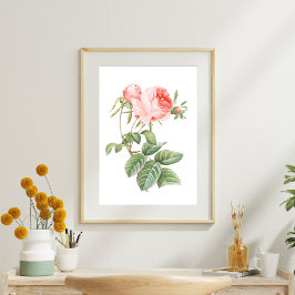 ピンクレッドテヴィンテージバラ 薄葉紙