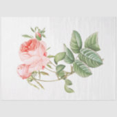 ピンクレッドテヴィンテージバラ 薄葉紙 (正面)