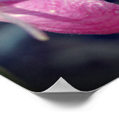 ピンクレディスリッパオーキッドフラワー鏡抽象芸術 ポスター (角)