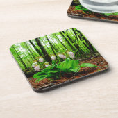 ピンクレディスリッパワイルドラン コースター (左側)