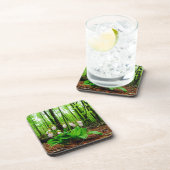 ピンクレディスリッパワイルドラン コースター (右側)