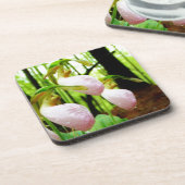 ピンクレディスリッパワイルドラン コースター (左側)