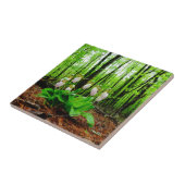 ピンクレディスリッパワイルドラン タイル (側面)