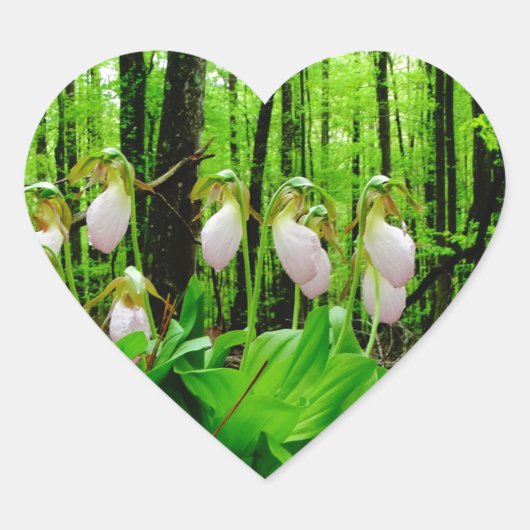 ピンクレディスリッパワイルドラン ハートシール (正面)