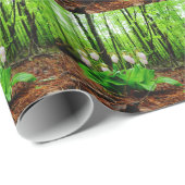 ピンクレディスリッパワイルドラン ラッピングペーパー (ロールコーナー)