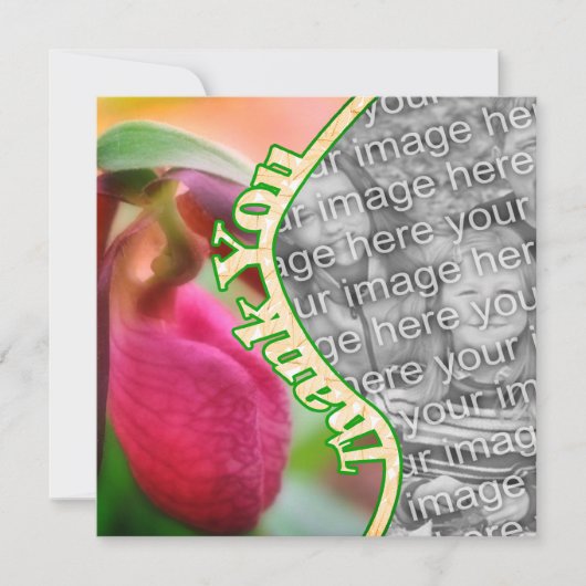 ピンクレディスリッパ花ありがとうフォトカード サンキューカード (正面)