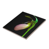 ピンクレディーのスリッパ タイル (側面)