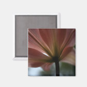 ピンクレディ マグネット (正面/裏面)