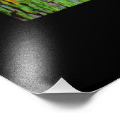 ピンクレンスブラックウォーター フォトプリント            (角)