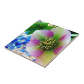 ピンクレンテンバラブルーガラスボール タイル (側面)