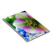 ピンクレンテンバラブルーガラスボール ノートブック (右側)