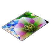 ピンクレンテンバラブルーガラスボール ノートブック (左側)