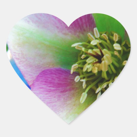 ピンクレンテンバラブルーガラスボール ハートシール (正面)