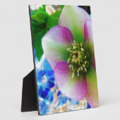 ピンクレンテンバラブルーガラスボール フォトプラーク (側面)