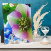 ピンクレンテンバラブルーガラスボール フォトプラーク (側面)