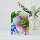 ピンクレンテンバラブルーガラスボール ポストカード (スタンド正面)