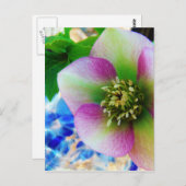 ピンクレンテンバラブルーガラスボール ポストカード (正面/裏面)