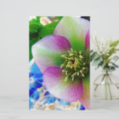 ピンクレンテンバラブルーガラスボール 便箋 (スタンド正面)