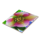 ピンクレンテンバラ タイル (側面)