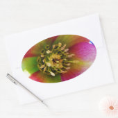 ピンクレンテンバラ 楕円形シール (封筒)