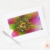 ピンクレンテンバラ 長方形シール (封筒)