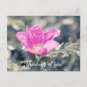 ピンクロサル考えゴサズオブユー ポストカード (正面)