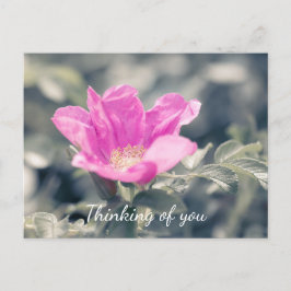 ピンクロサル考えゴサズオブユー ポストカード