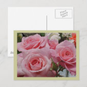 ピンクローズのはがき ポストカード (正面/裏面)