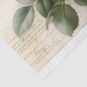 ピンクローズアンドエフェメラ 薄葉紙 (詳細)