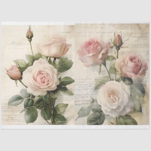 ピンクローズアンドエフェメラ 薄葉紙 (正面)