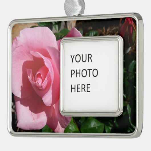 ピンクローズアンドバドガーデンフローラ シルバープレートフレームオーナメント (左)