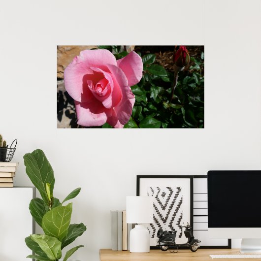 ピンクローズアンドバドガーデンフローラ ポスター (ホームオフィス)