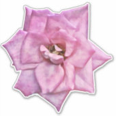 ピンクローズアートステッカー シール (正面)