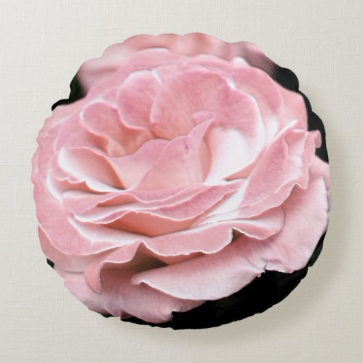ピンクローズインフル開花 ラウンドクッション (正面)