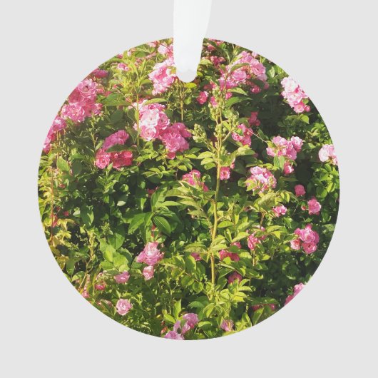 ピンクローズイン開花 オーナメント (正面)
