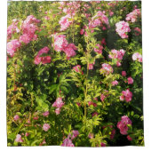 ピンクローズイン開花 シャワーカーテン (正面)