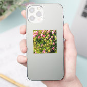 ピンクローズイン開花 シール (スマートフォン)