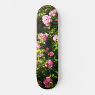 ピンクローズイン開花 スケートボード