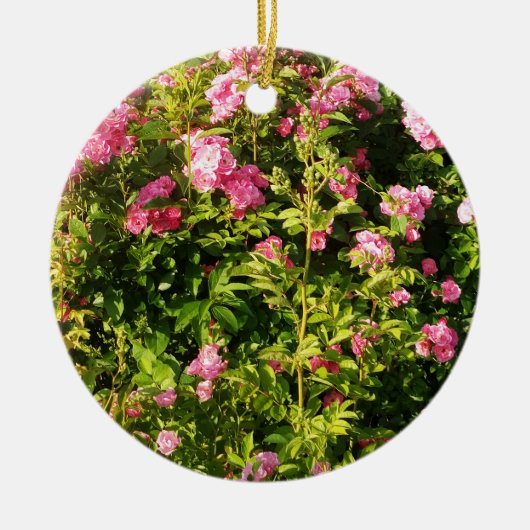 ピンクローズイン開花 セラミックオーナメント (正面)