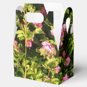 ピンクローズイン開花 フェイバーボックス (オープン)