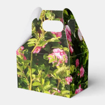 ピンクローズイン開花