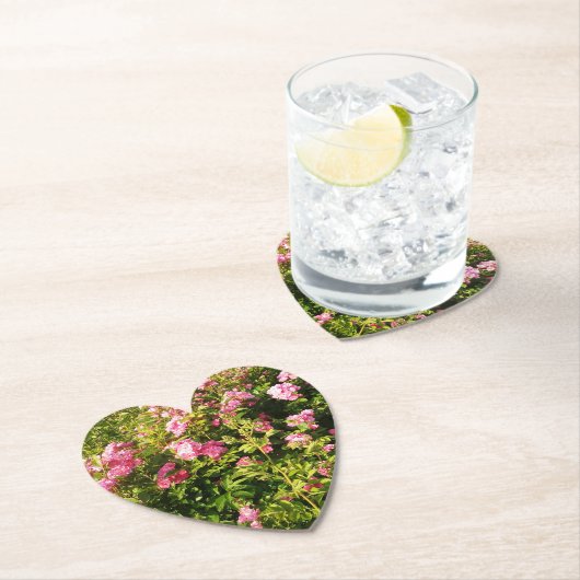 ピンクローズイン開花 ペーパーコースター (インサイチュ)