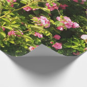 ピンクローズイン開花 ラッピングペーパー (角)