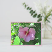 ピンクローズオブシャロン写真誕生日 ポストカード (スタンド正面)