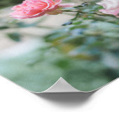 ピンクローズガーデン聖句 ポスター (角)